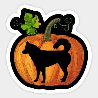 Siberian husky in pumpkin Sticker